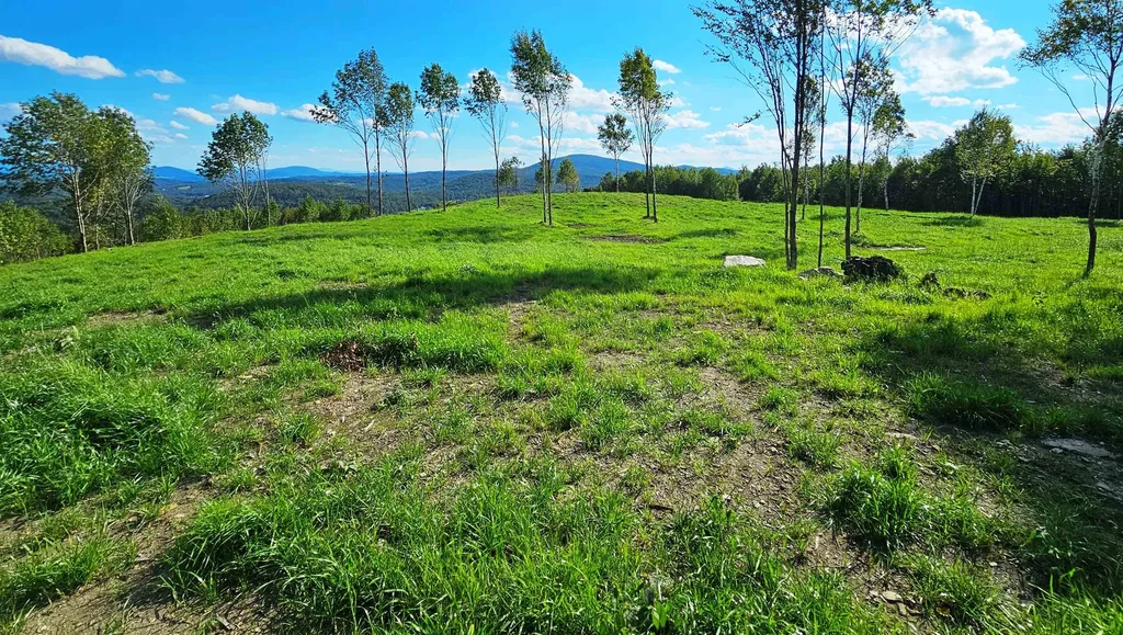 600 Davidson Drive Walden VT 05873