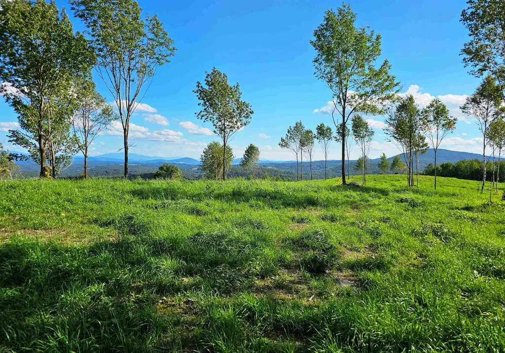 600 Davidson Drive Walden VT 05873