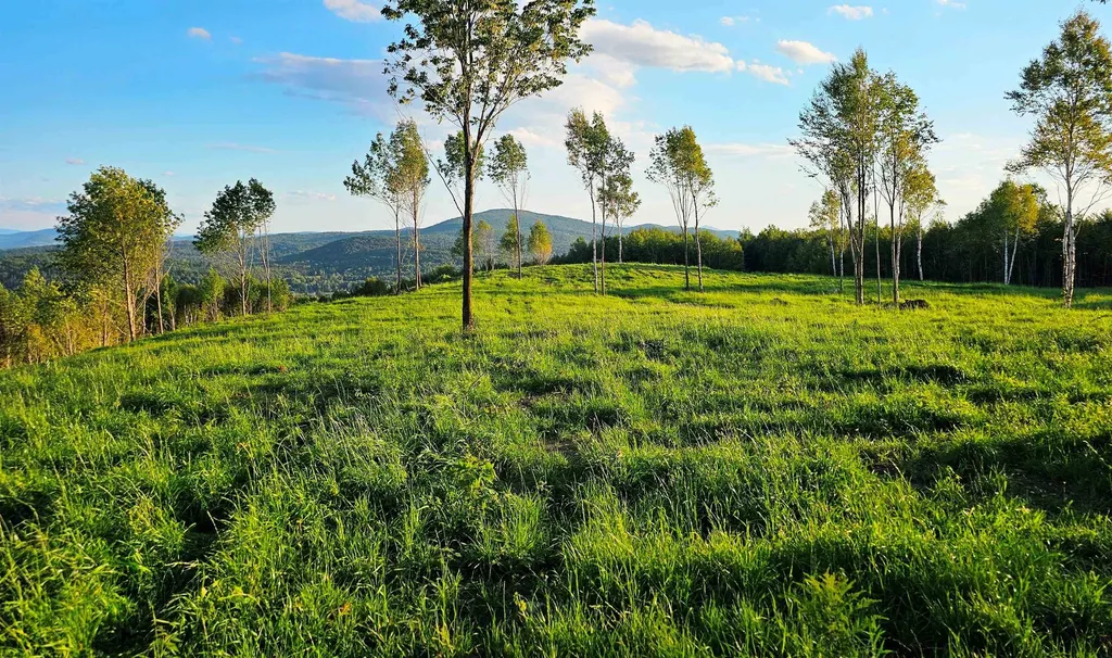 600 Davidson Drive Walden VT 05873