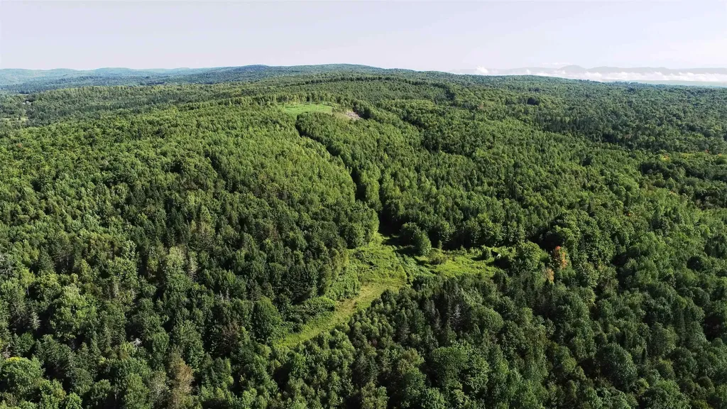 600 Davidson Drive Walden VT 05873
