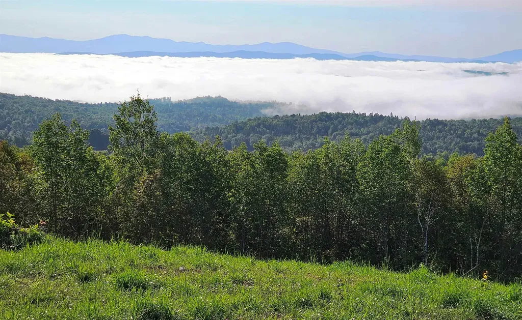600 Davidson Drive Walden VT 05873