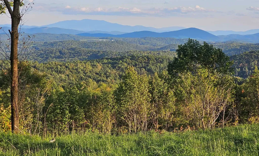 600 Davidson Drive Walden VT 05873
