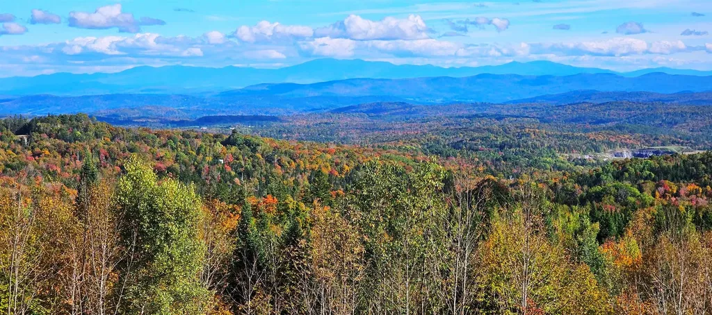 600 Davidson Drive Walden VT 05873