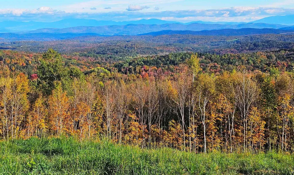 600 Davidson Drive Walden VT 05873