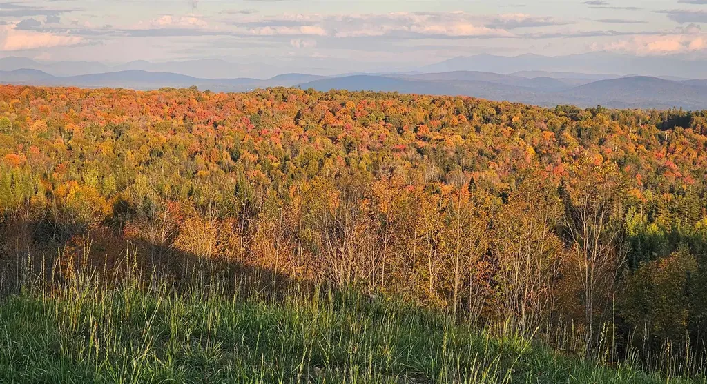 600 Davidson Drive Walden VT 05873