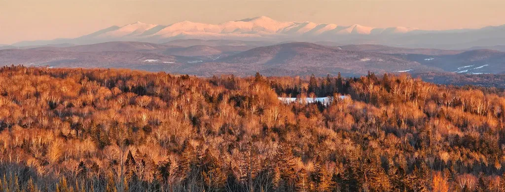 600 Davidson Drive Walden VT 05873