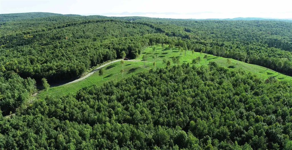 600 Davidson Drive Walden VT 05873