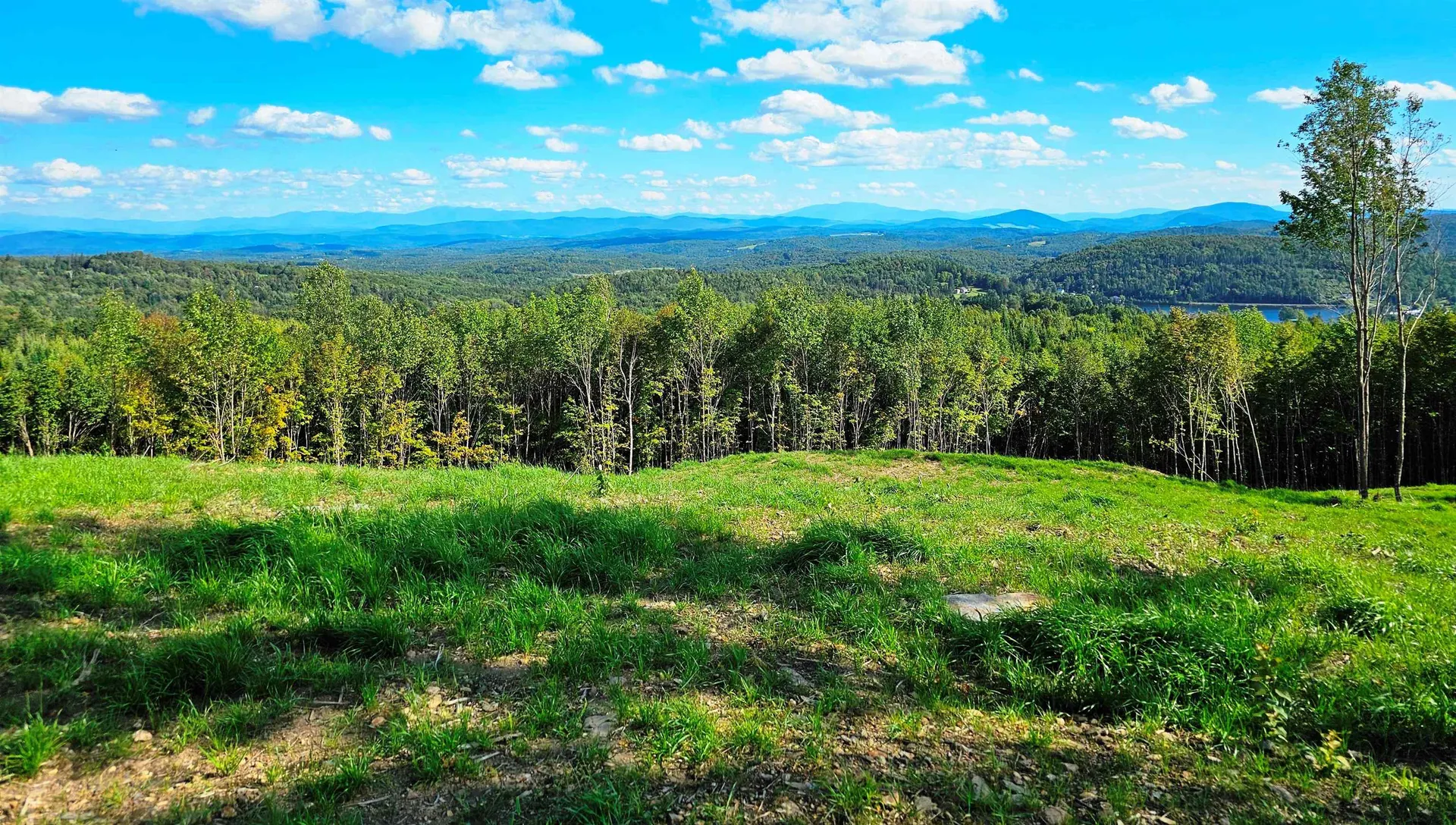 600 Davidson Drive Walden VT 05873