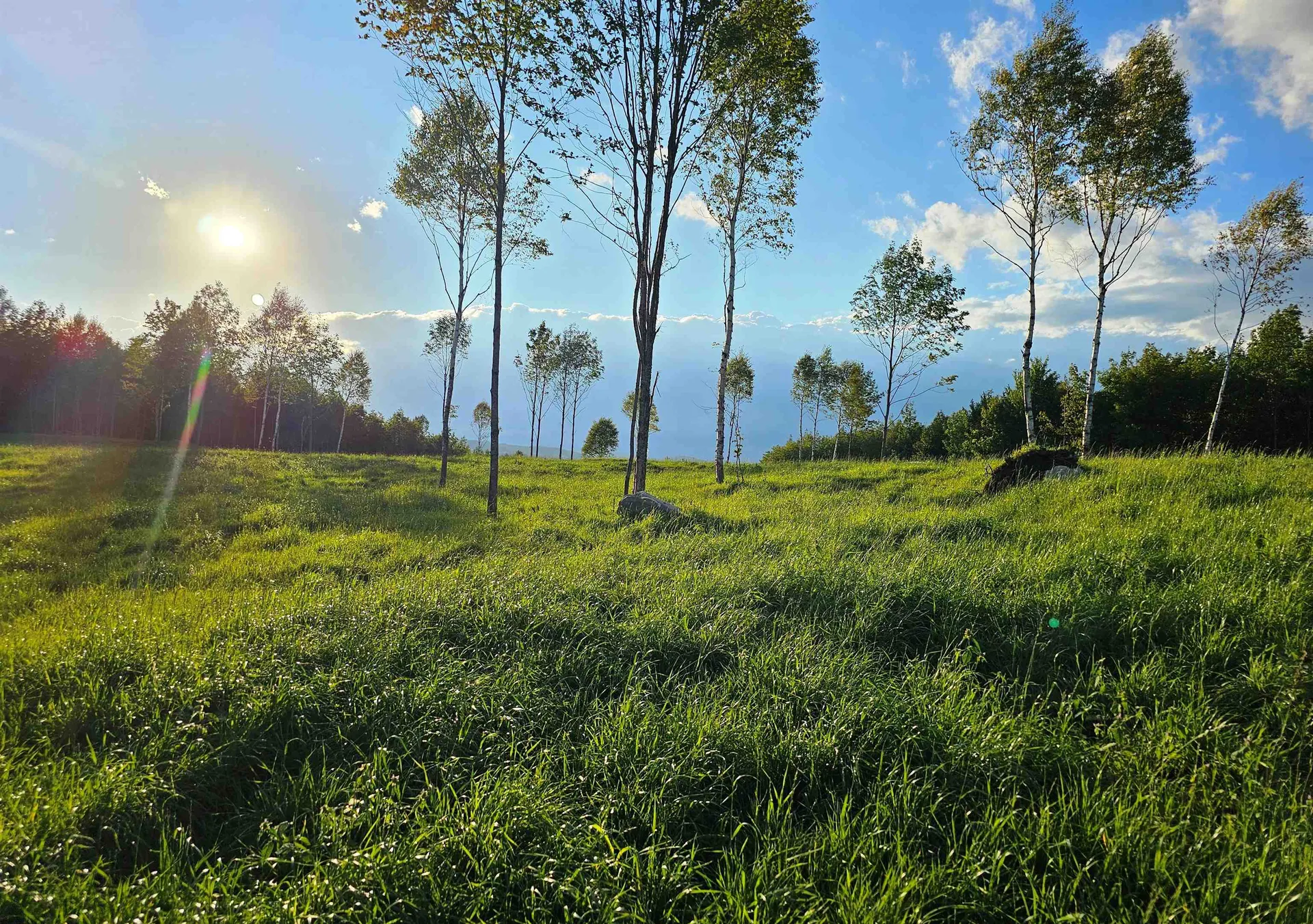 600 Davidson Drive Walden VT 05873