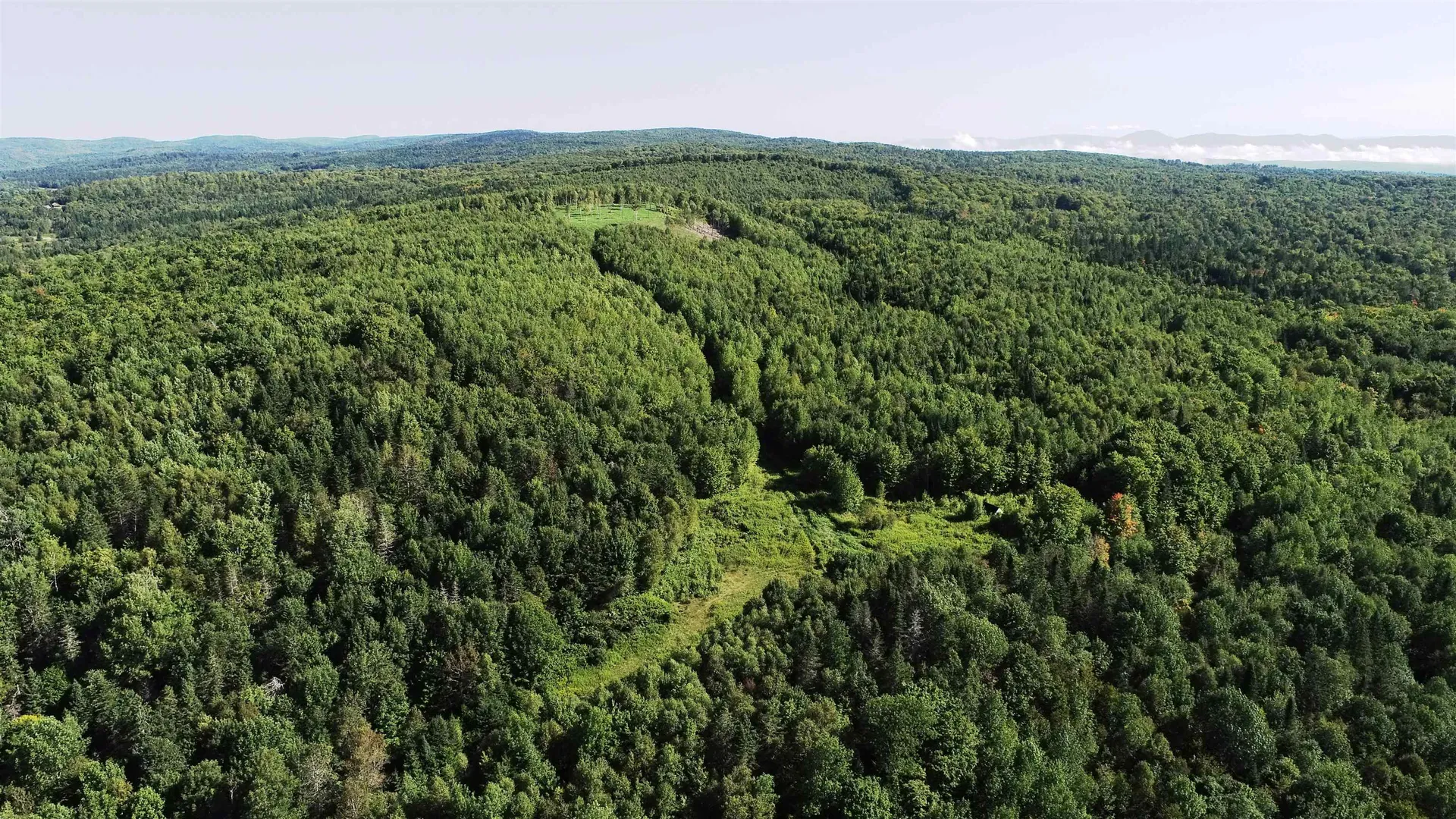 600 Davidson Drive Walden VT 05873