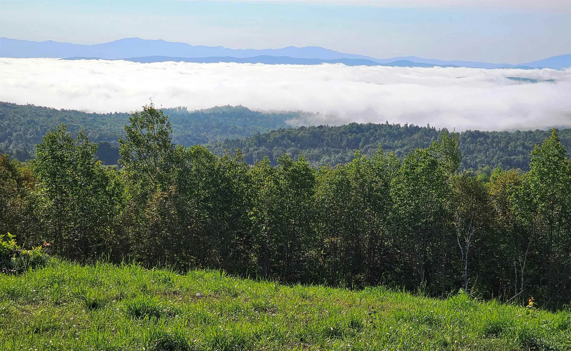 600 Davidson Drive Walden VT 05873