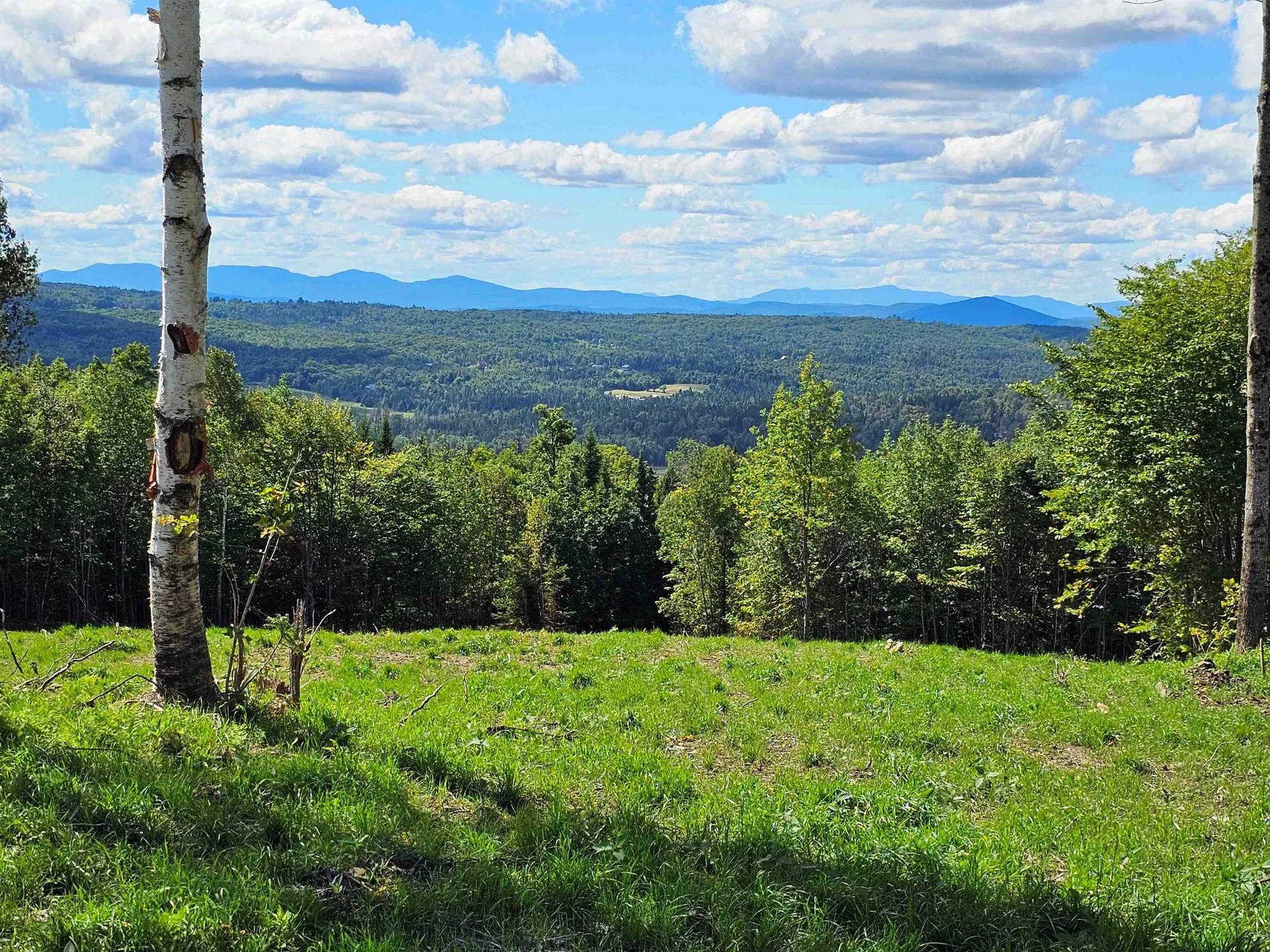 600 Davidson Drive Walden VT 05873