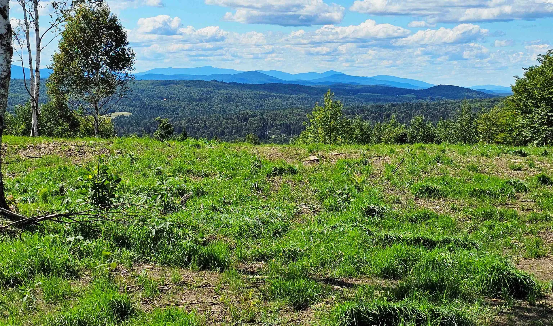 600 Davidson Drive Walden VT 05873