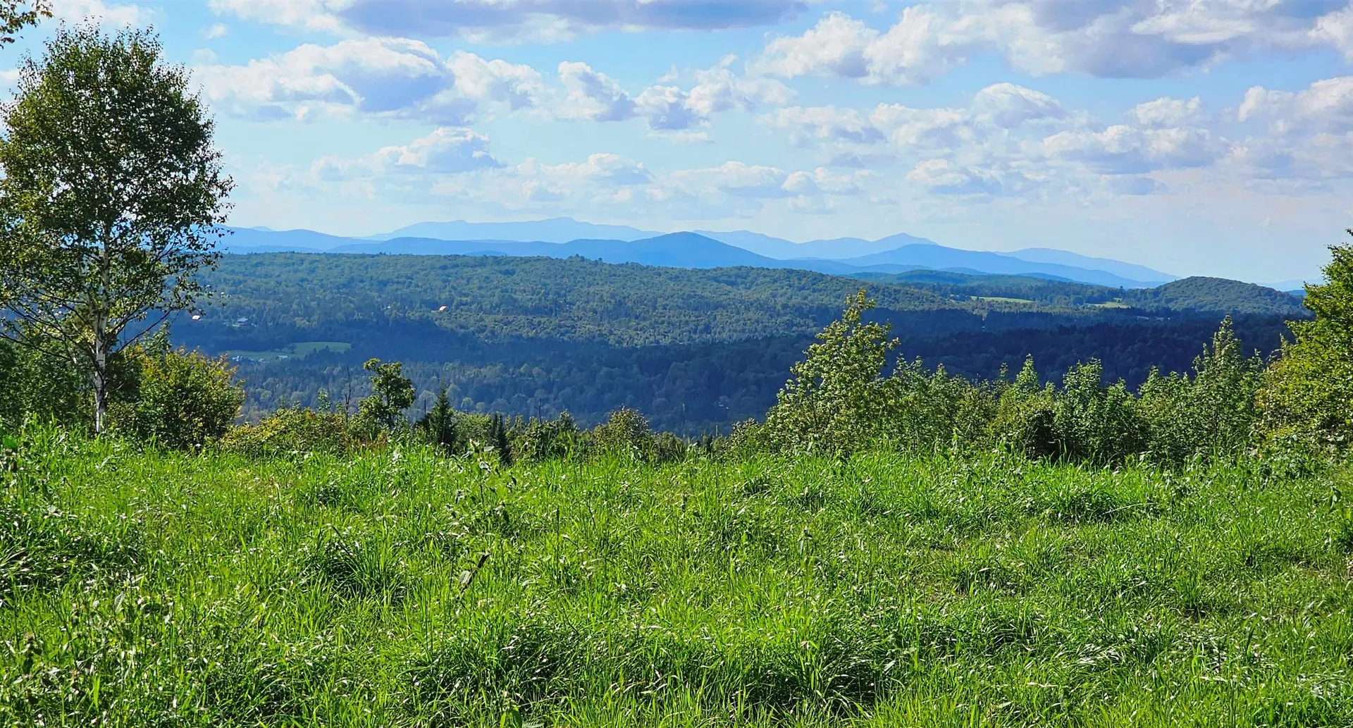 600 Davidson Drive Walden VT 05873