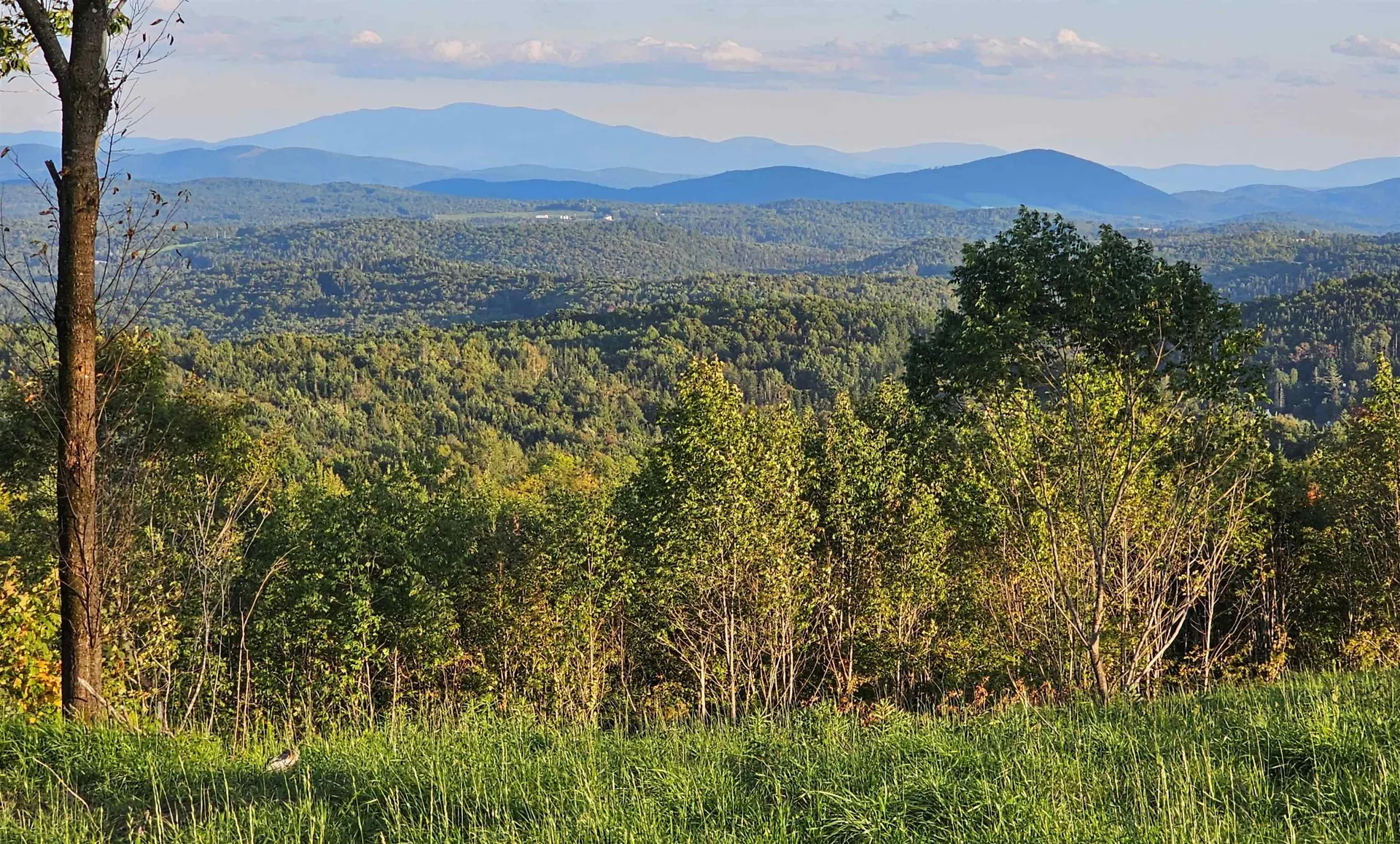 600 Davidson Drive Walden VT 05873