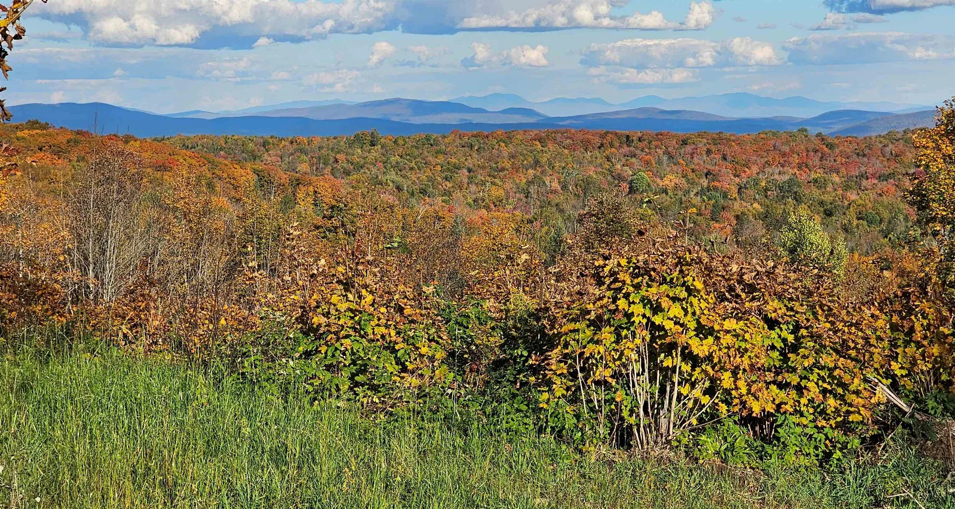600 Davidson Drive Walden VT 05873