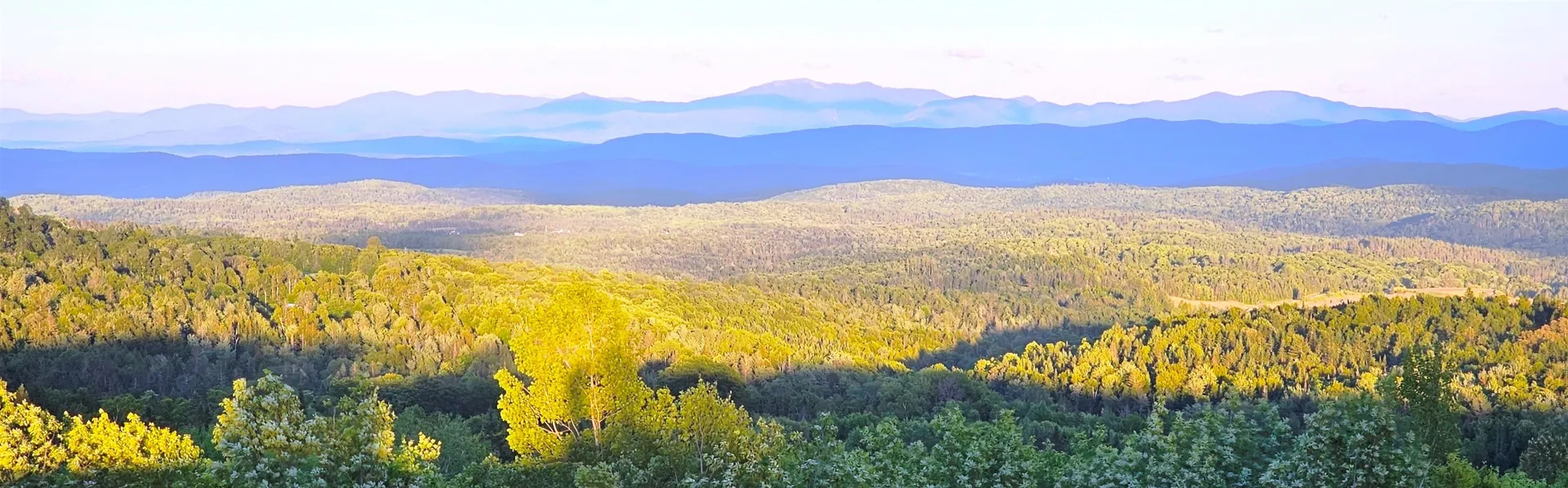 600 Davidson Drive Walden VT 05873