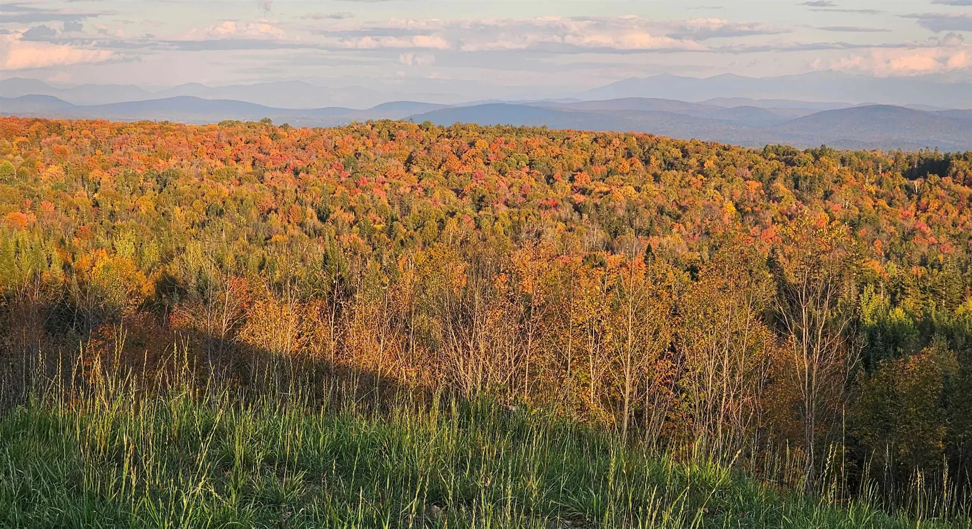 600 Davidson Drive Walden VT 05873