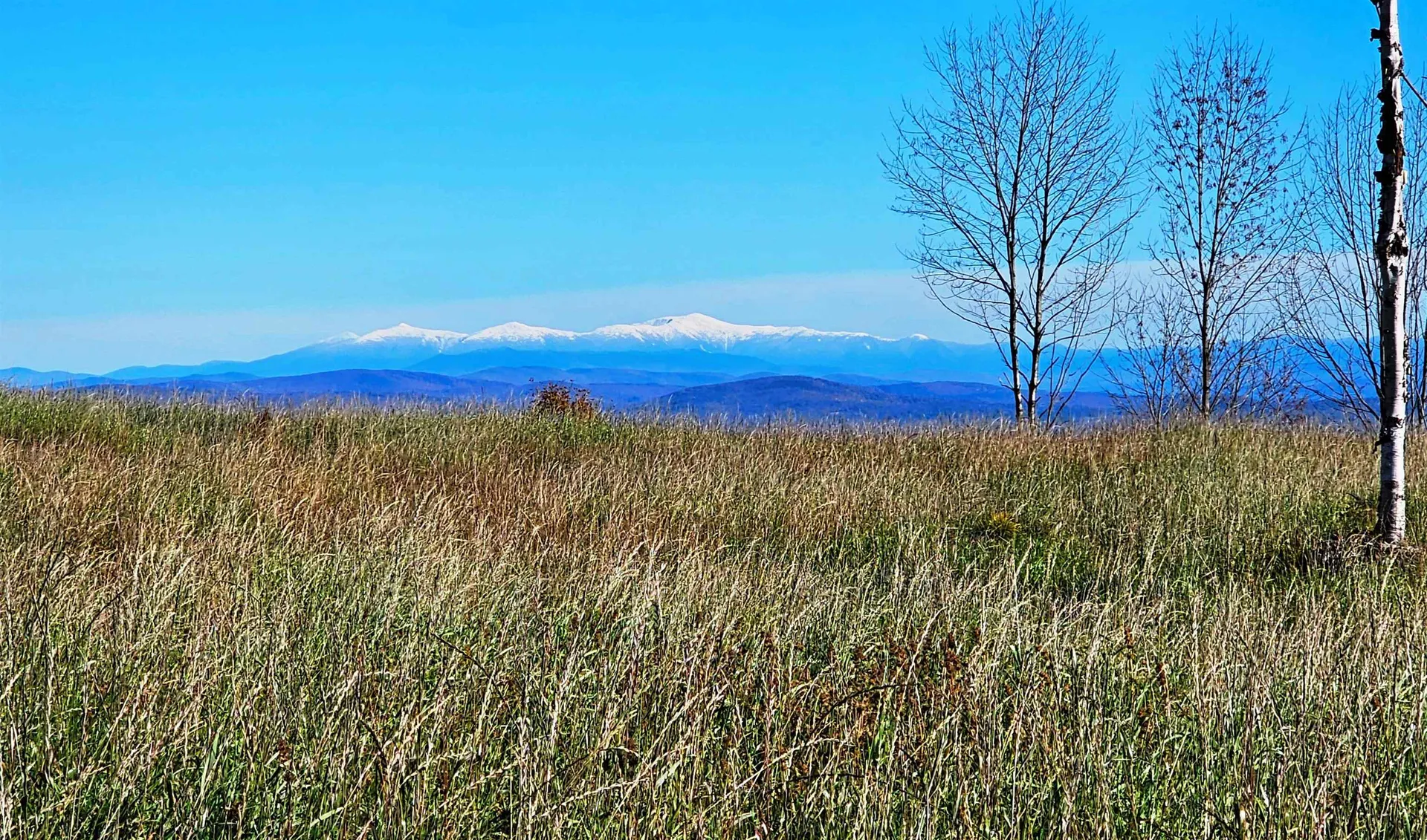 600 Davidson Drive Walden VT 05873