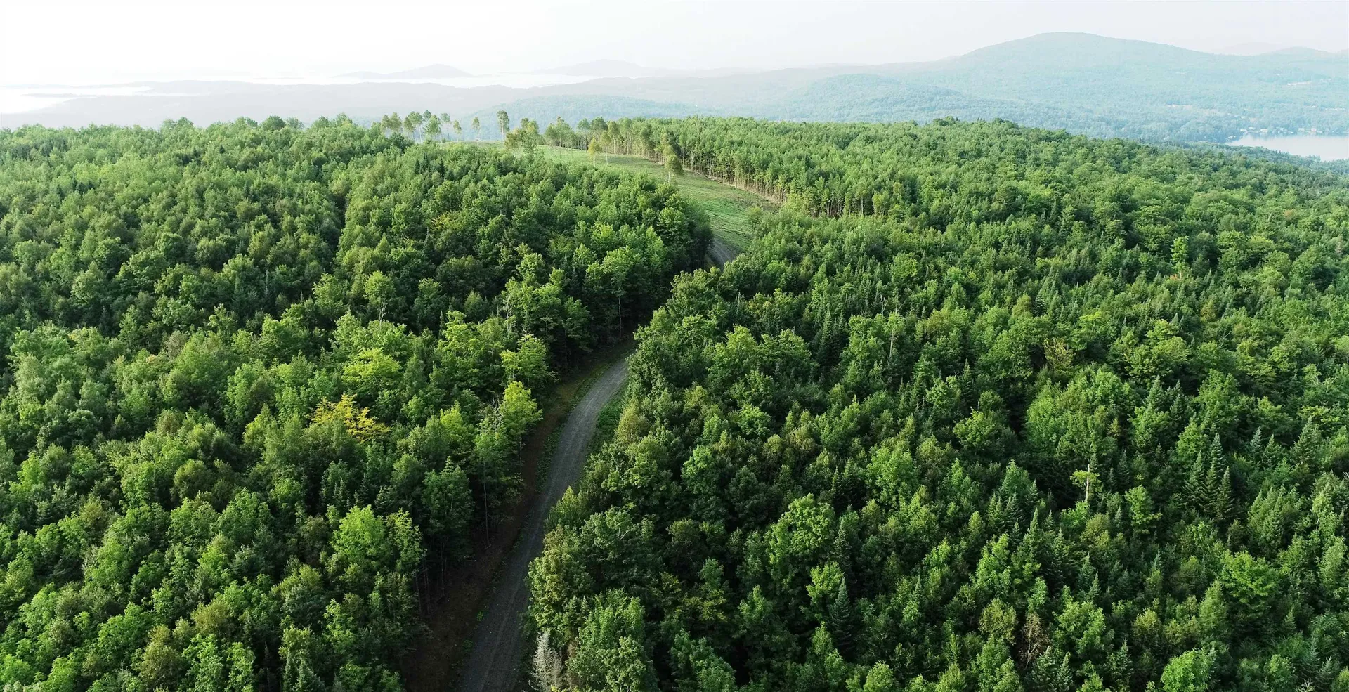 600 Davidson Drive Walden VT 05873
