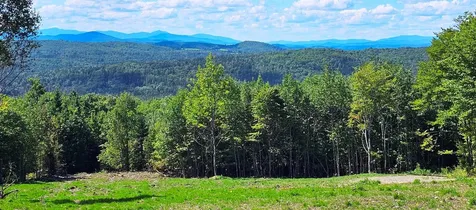 600 Davidson Drive Walden VT 05873