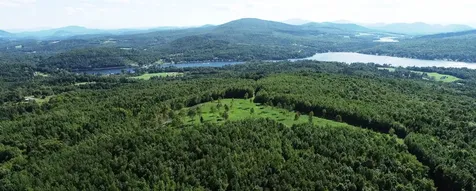 600 Davidson Drive Walden VT 05873