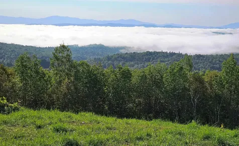 600 Davidson Drive Walden VT 05873