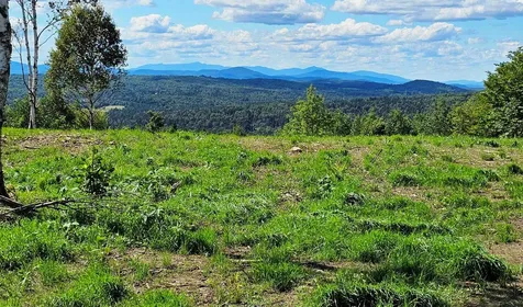 600 Davidson Drive Walden VT 05873