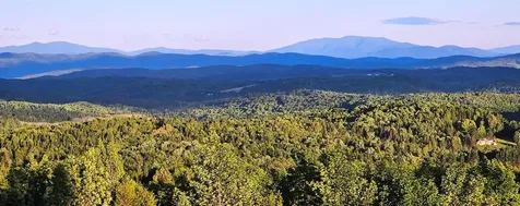 600 Davidson Drive Walden VT 05873