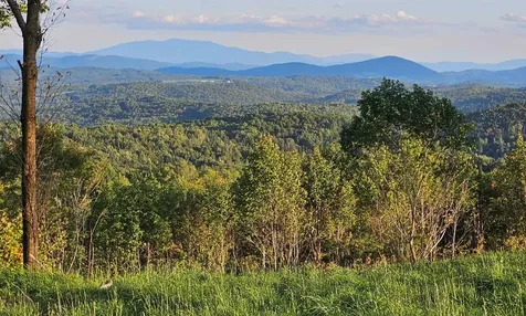 600 Davidson Drive Walden VT 05873