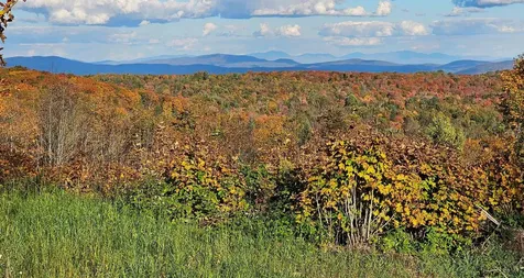 600 Davidson Drive Walden VT 05873