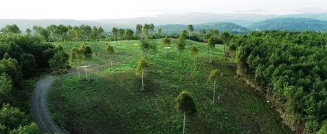 600 Davidson Drive Walden VT 05873