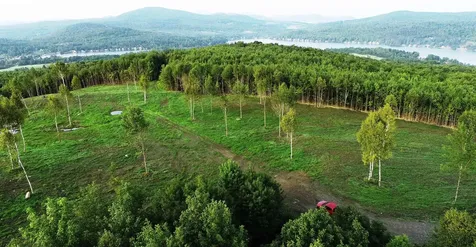 600 Davidson Drive Walden VT 05873