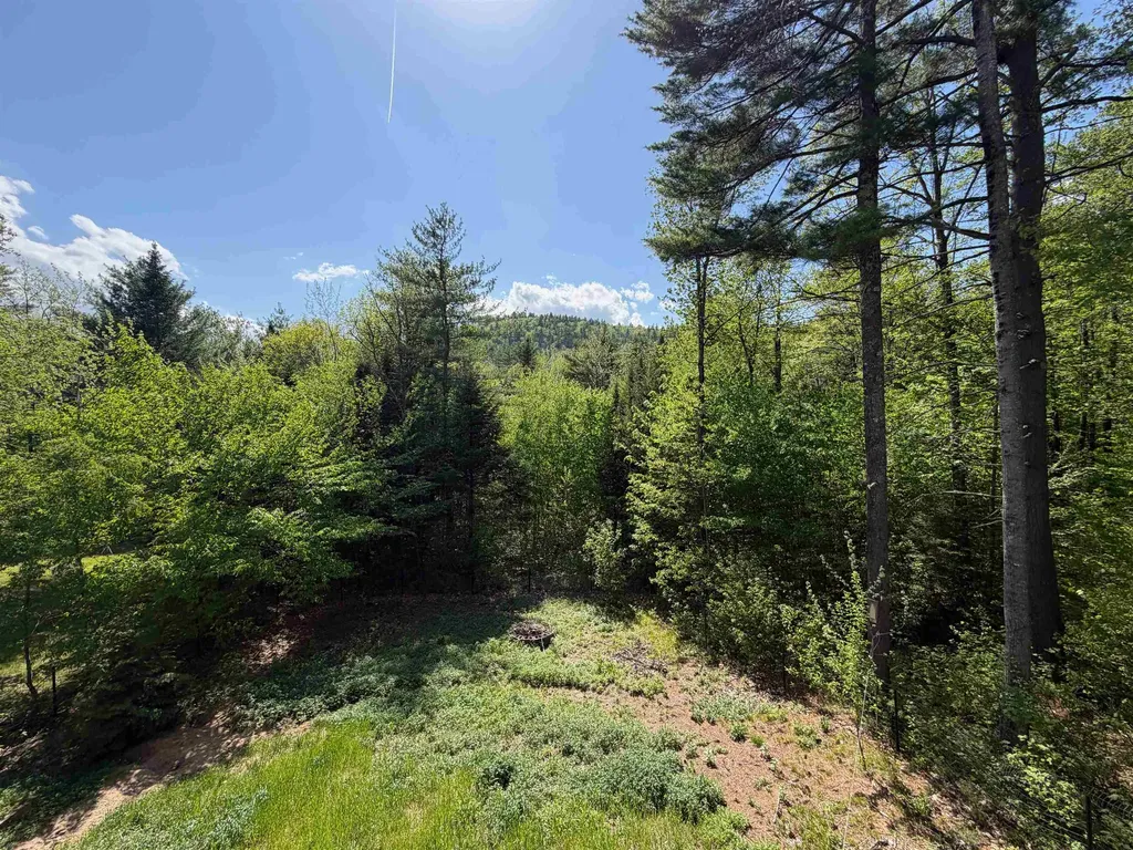83 Tabor Circle Albany NH 03818-7332