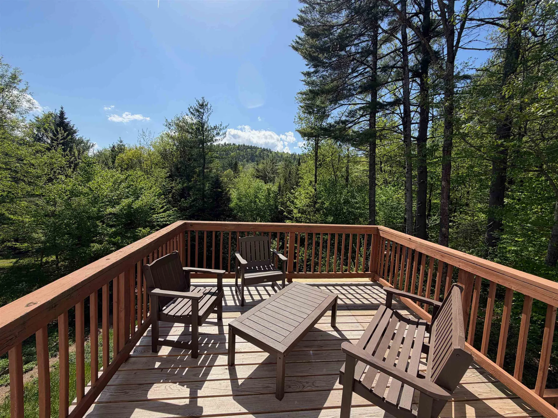83 Tabor Circle Albany NH 03818-7332