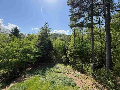 83 Tabor Circle Albany NH 03818-7332