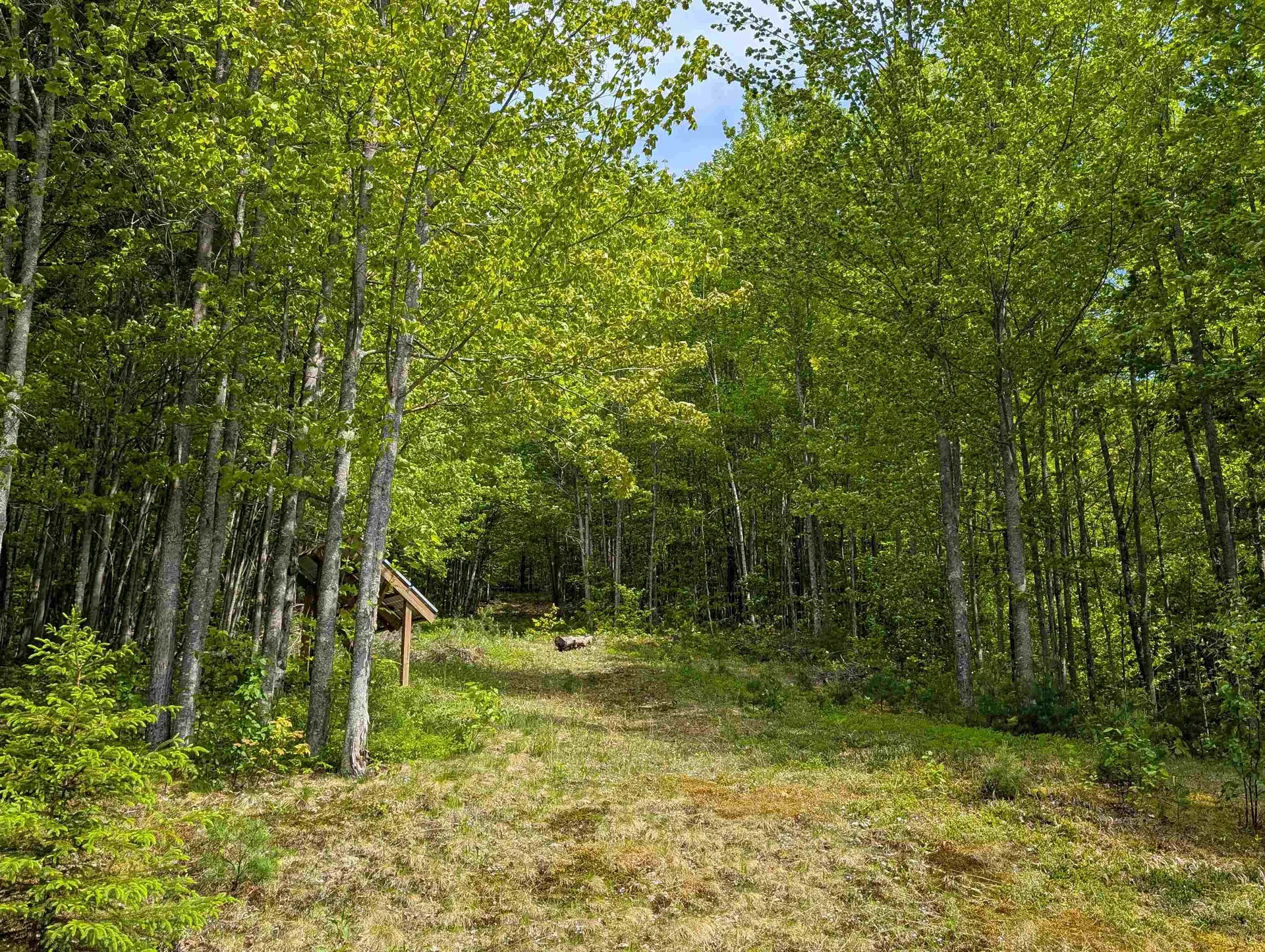 320 Hunt Mountain Road Monroe NH 03771