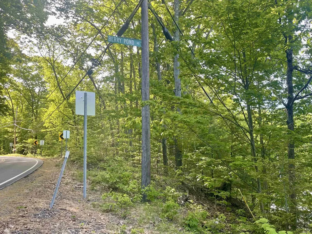 Lot 12 Berry Pond Road Pittsfield NH 03263