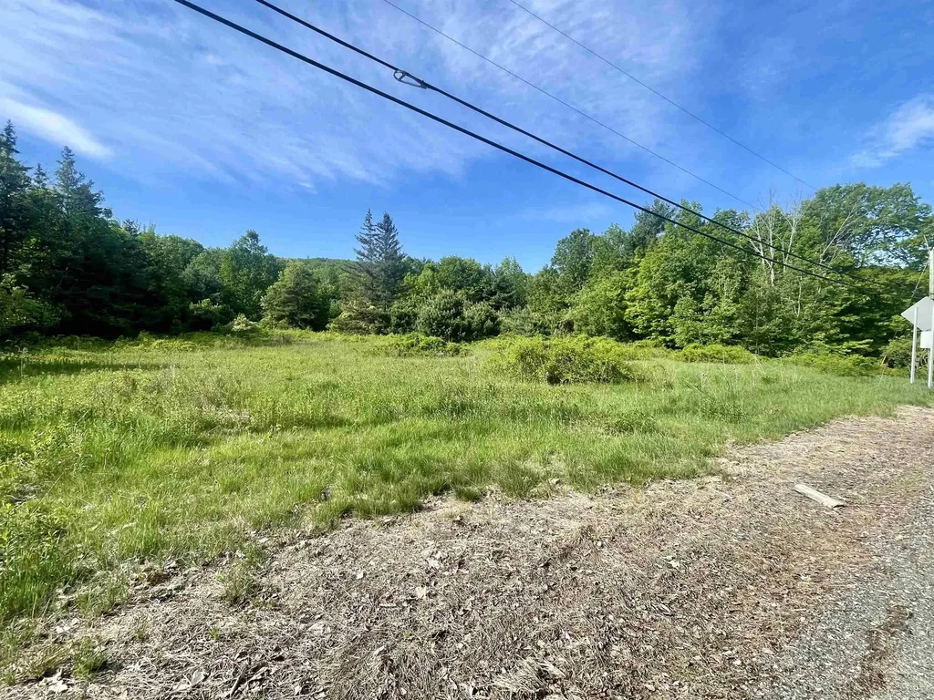 Lot 12 Berry Pond Road Pittsfield NH 03263