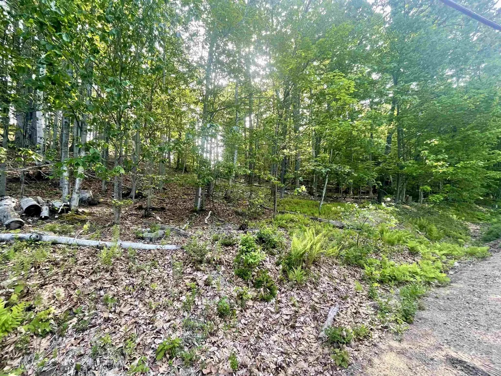 Lot 12 Berry Pond Road Pittsfield NH 03263