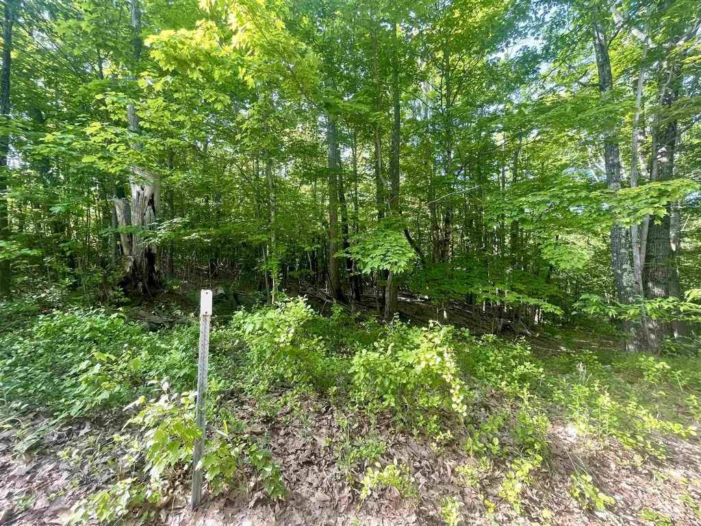 Lot 12 Berry Pond Road Pittsfield NH 03263