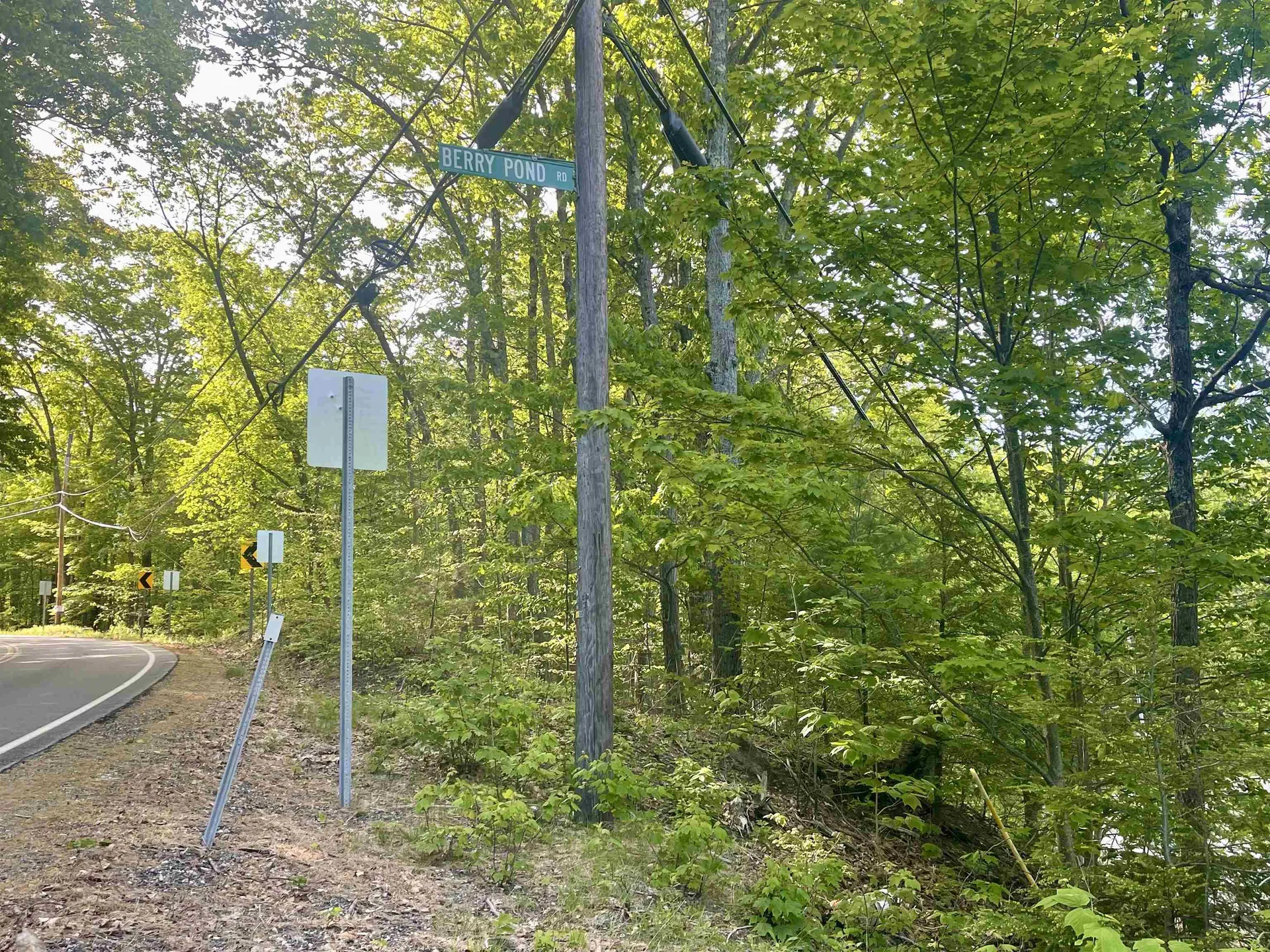 Lot 12 Berry Pond Road Pittsfield NH 03263