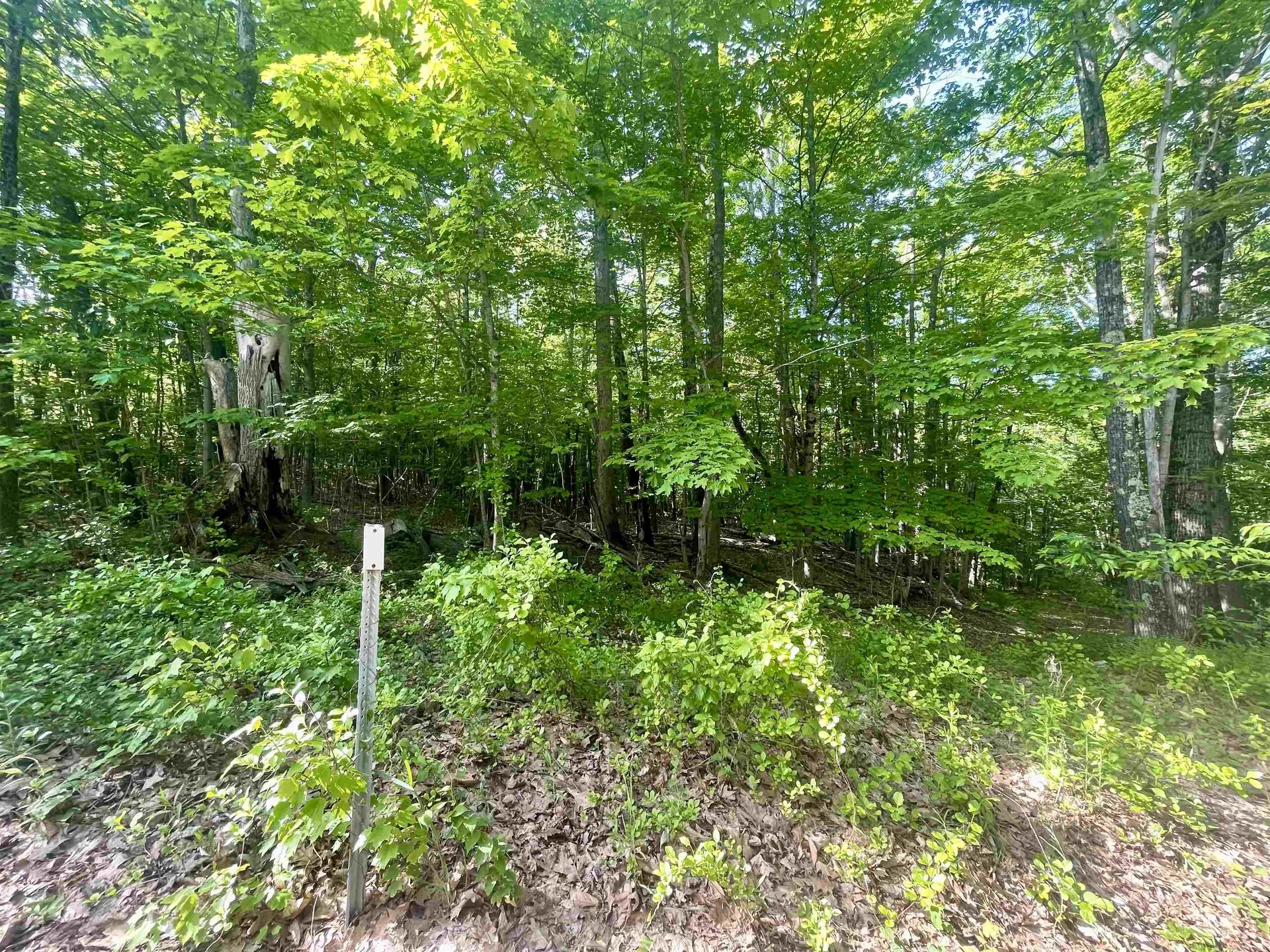 Lot 12 Berry Pond Road Pittsfield NH 03263