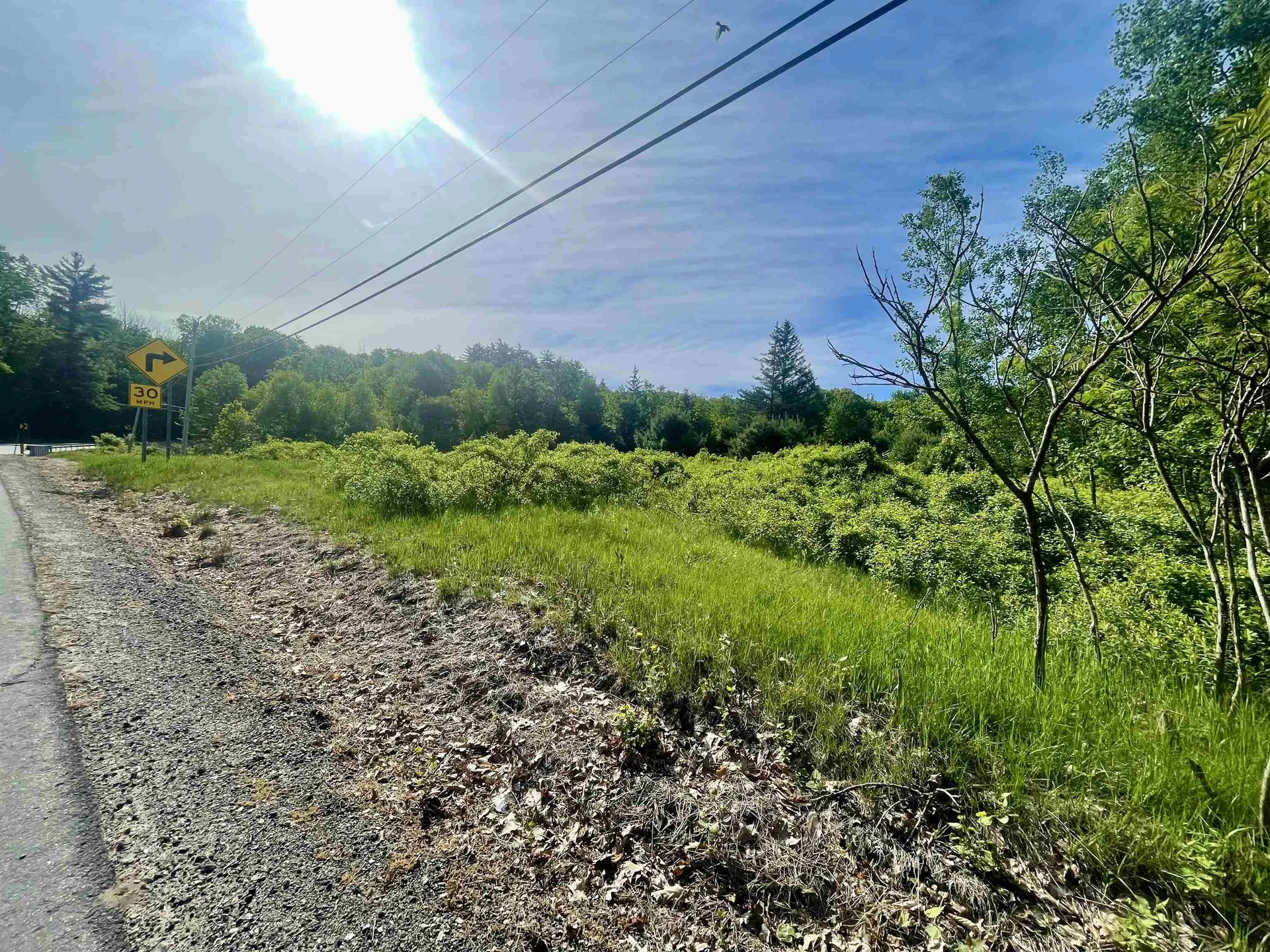 Lot 12 Berry Pond Road Pittsfield NH 03263