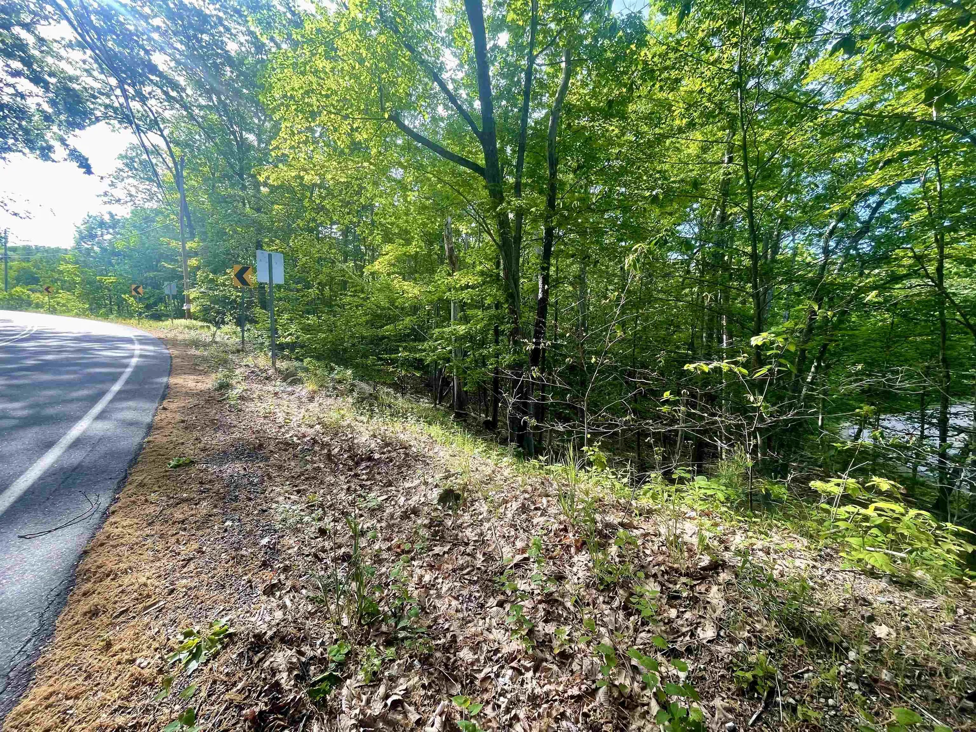 Lot 12 Berry Pond Road Pittsfield NH 03263