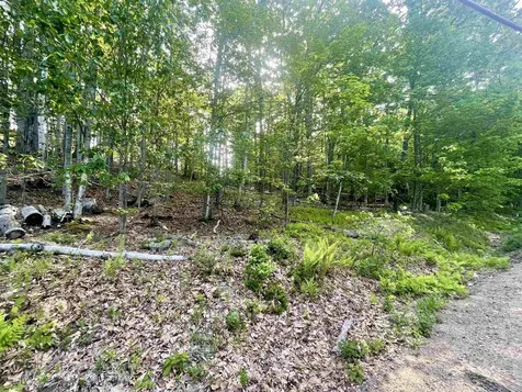 Lot 12 Berry Pond Road Pittsfield NH 03263