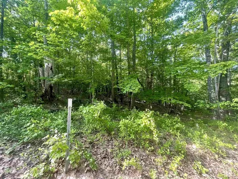 Lot 12 Berry Pond Road Pittsfield NH 03263