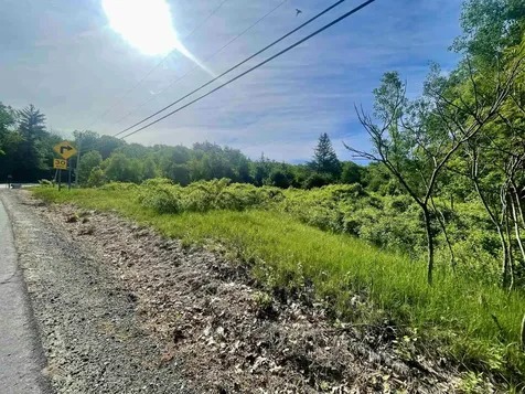Lot 12 Berry Pond Road Pittsfield NH 03263