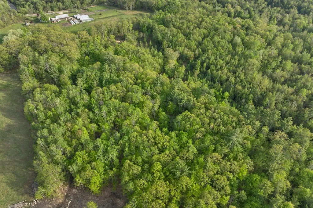 580-B Pine Hill Road Wolfeboro NH 03894