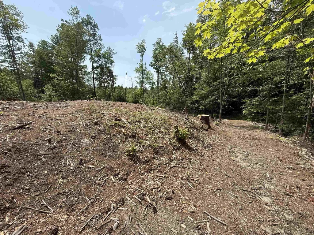51 Pineridge Road Middleton NH 03887